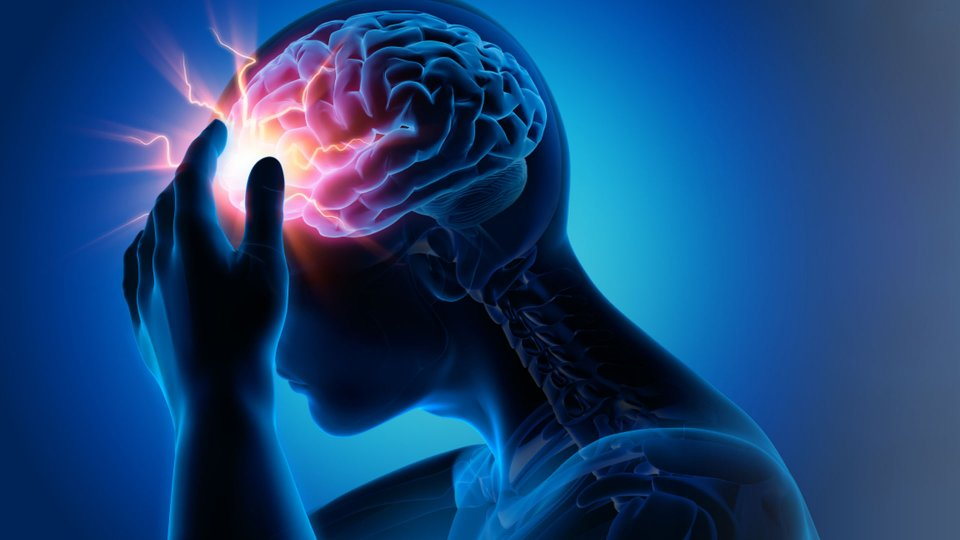 epilepsi nedir
