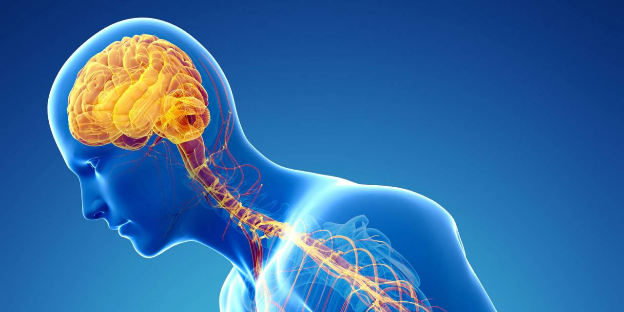 parkinson hastalığı nedir